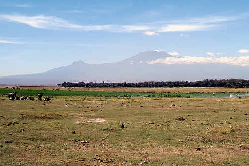 Kenia (180)